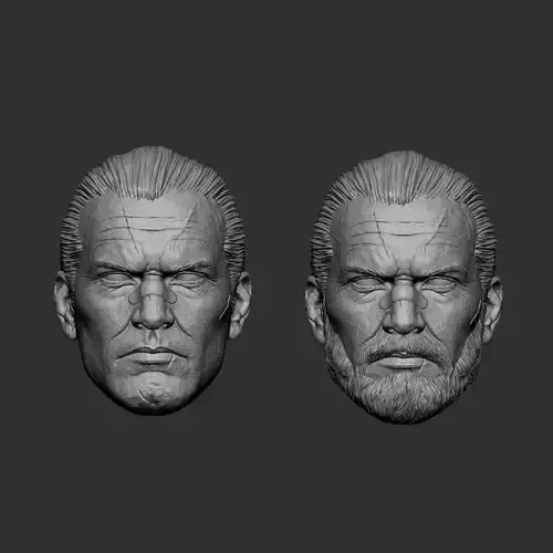 Punisher Head 2 pack 3D print model 3D print model