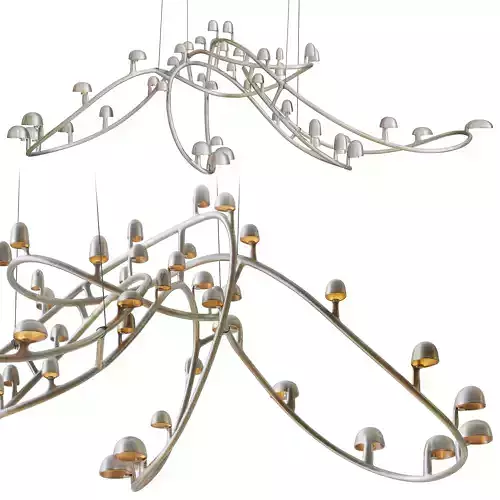 FREDERIK MOLENSCHOT CL-ARCTIC