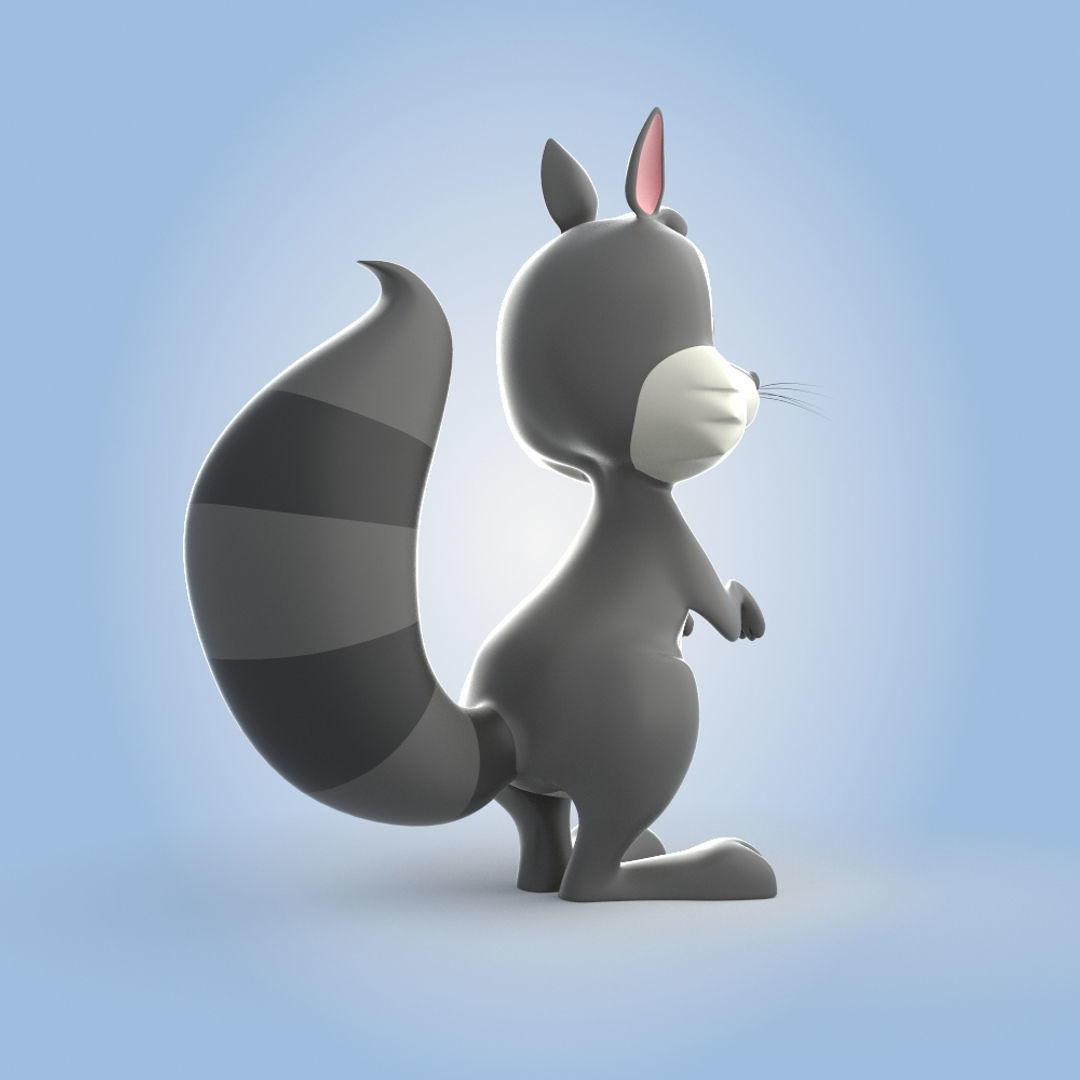 Racoon 3D model_1