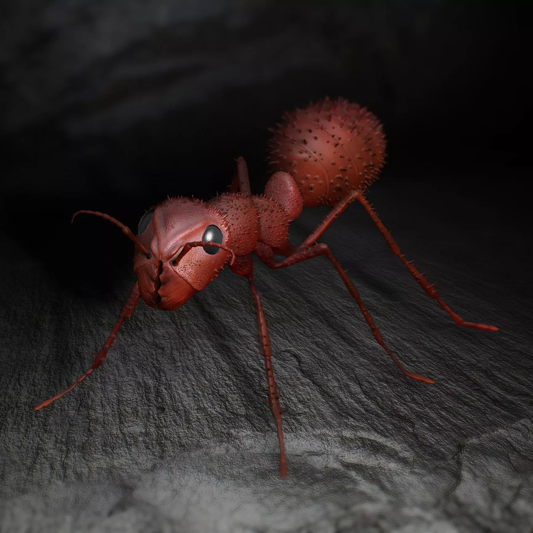 Ant 3D-Model 3D print model
