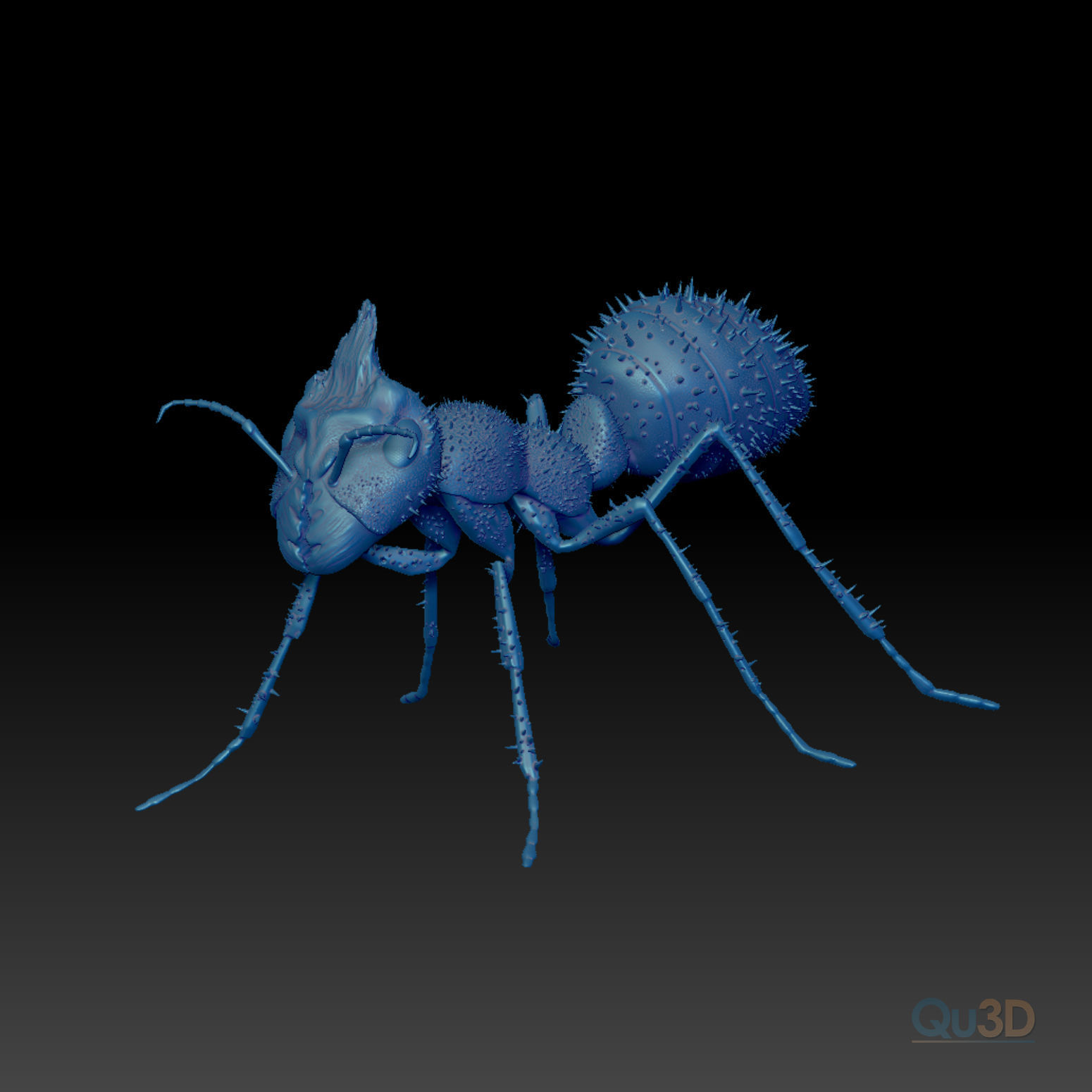 Ant 3D Type II 3D model 3D printable | CGTrader