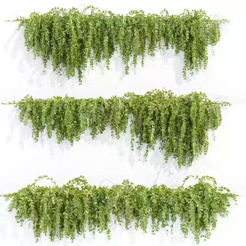 Hanging wall plants vol 127 3D model