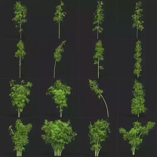 Realistic Game Ready Bamboo Collection tree Low-poly 3D model