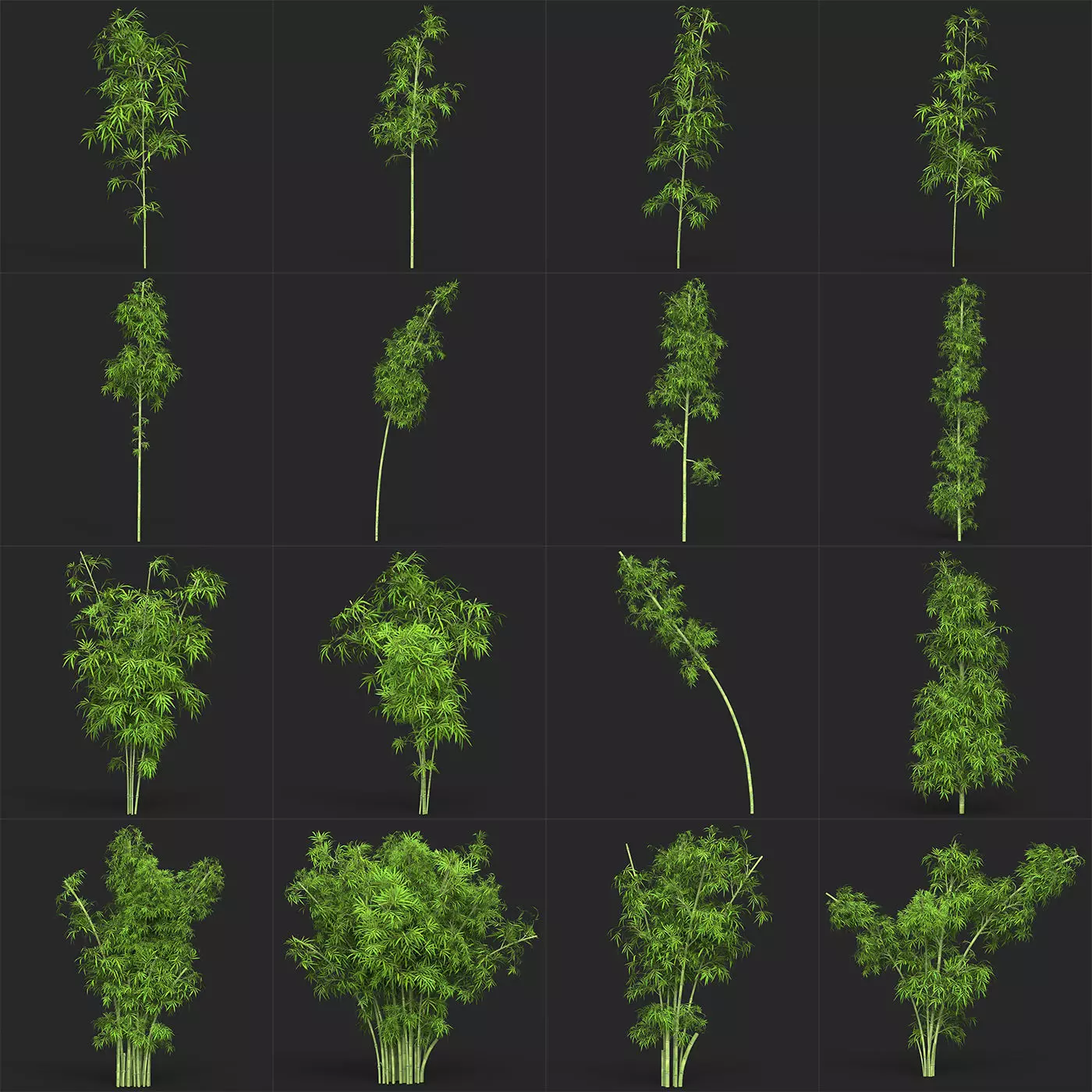 Realistic Game Ready Bamboo Collection tree Low-poly 3D model