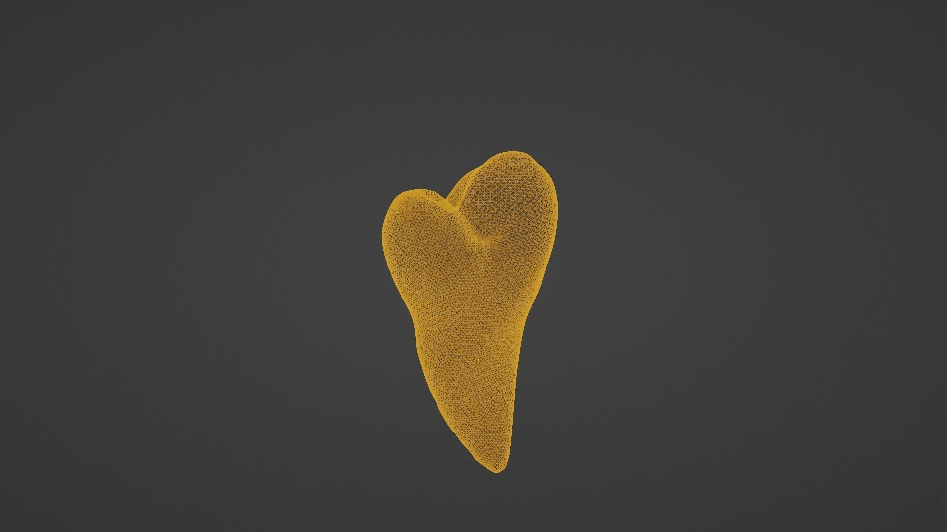 Maxillary Second Premolar Human Tooth 3D model_11