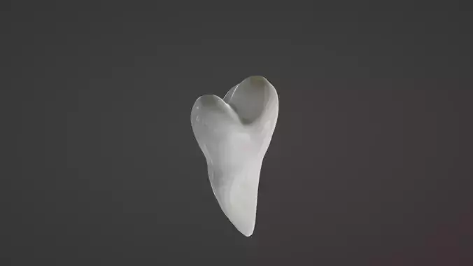 Maxillary Second Premolar Human Tooth 3D model