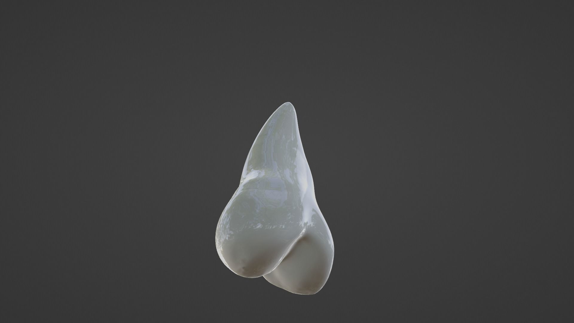 Maxillary Second Premolar Human Tooth 3D model_2