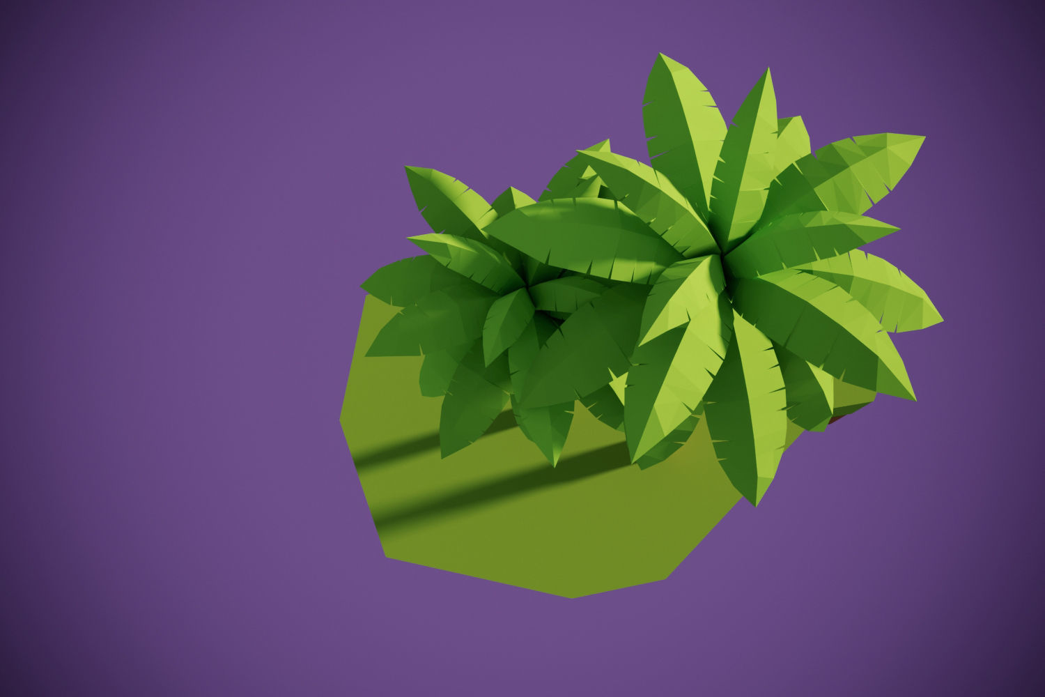 Coconut Trees Low-poly 3D model_2