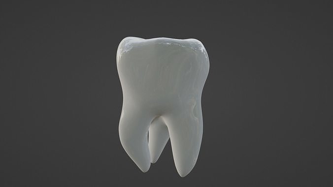 Maxillary Second Molar Human Tooth 3D model