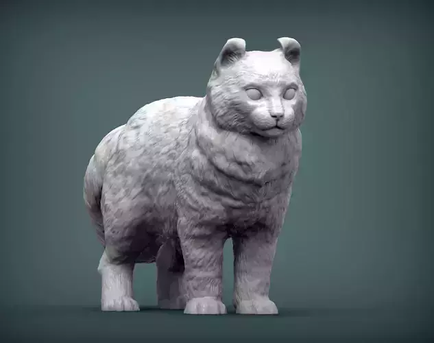 American curl  cat  3D print model
