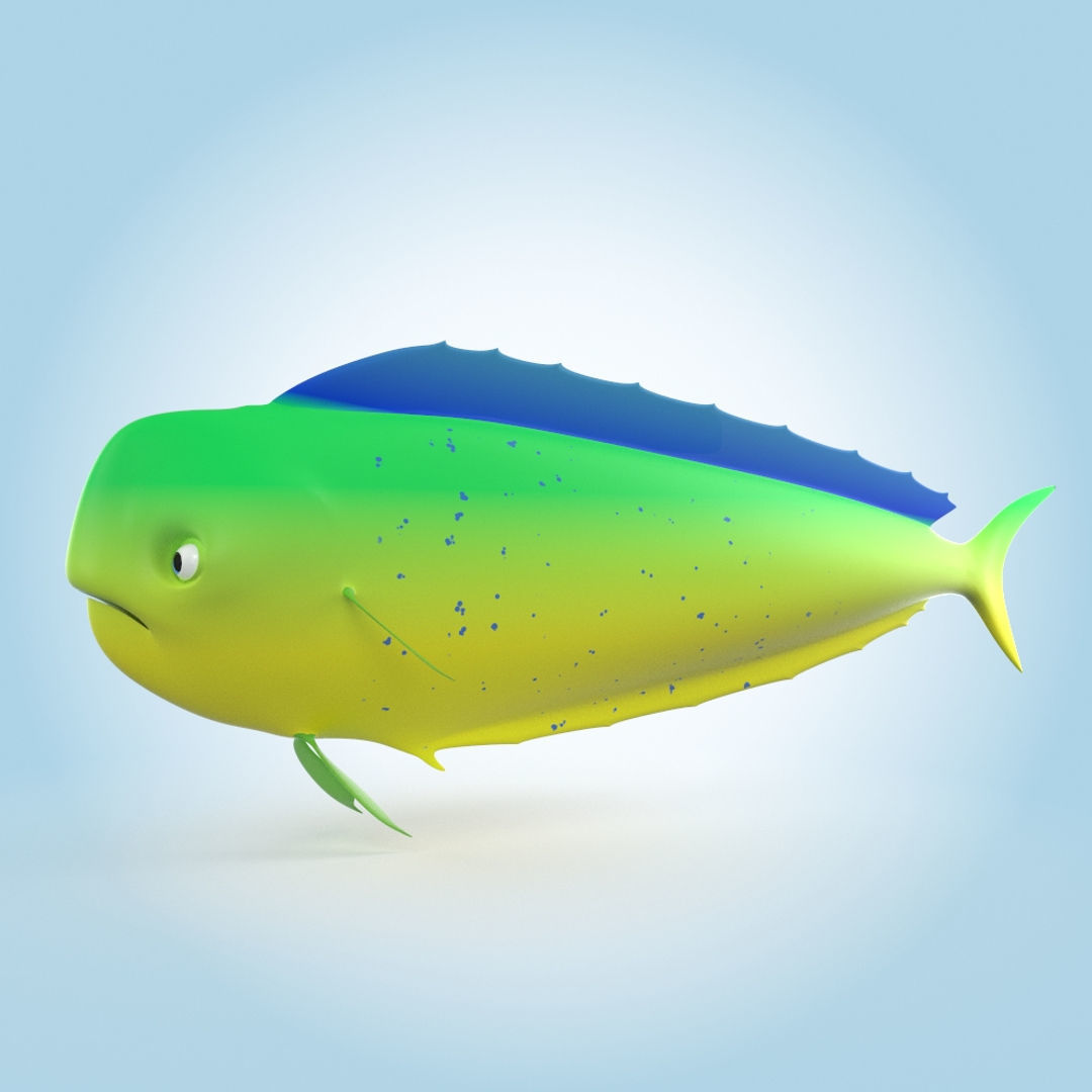 Mahi-mahi 3D model_4