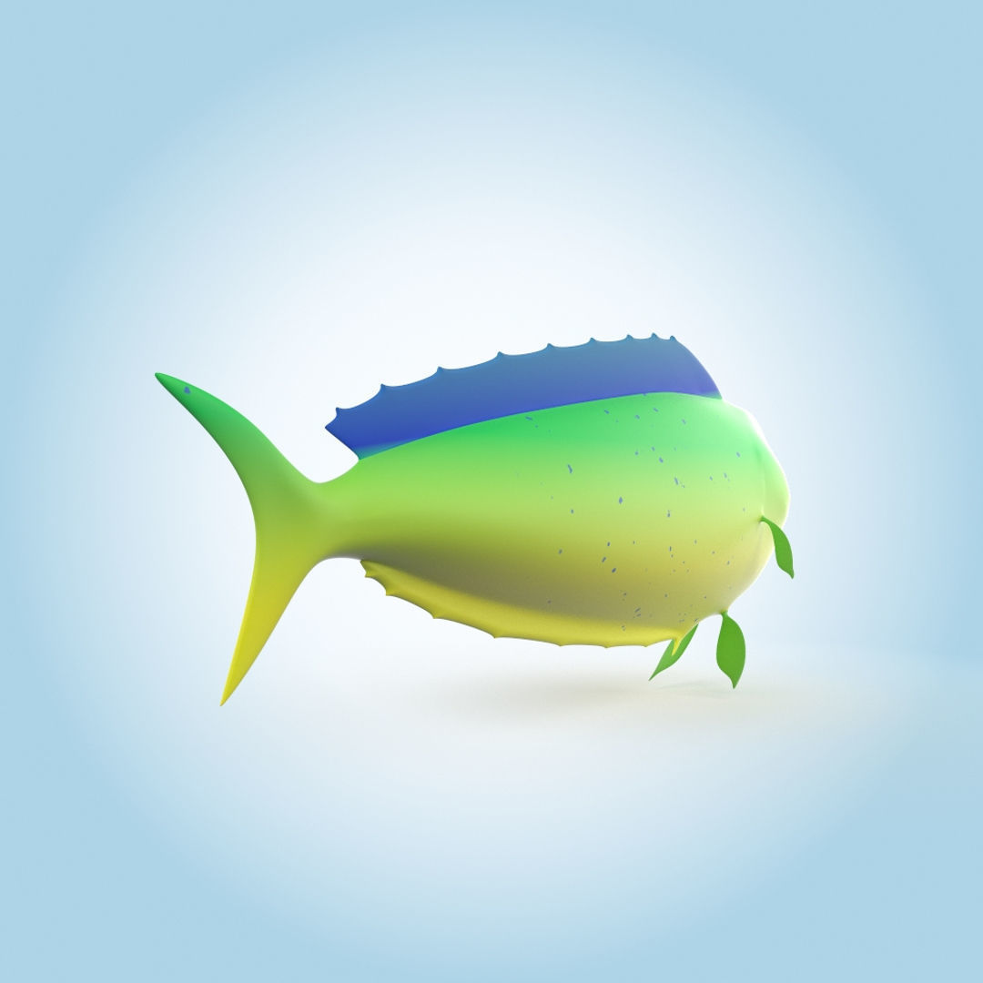 Mahi-mahi 3D model_2