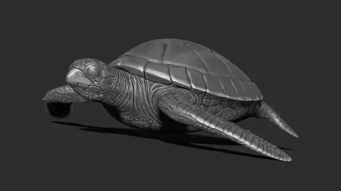 Turtle print 3D sea toy 3D print model