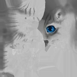 6 Low Poly Cute Cats Low-poly 3D model_2