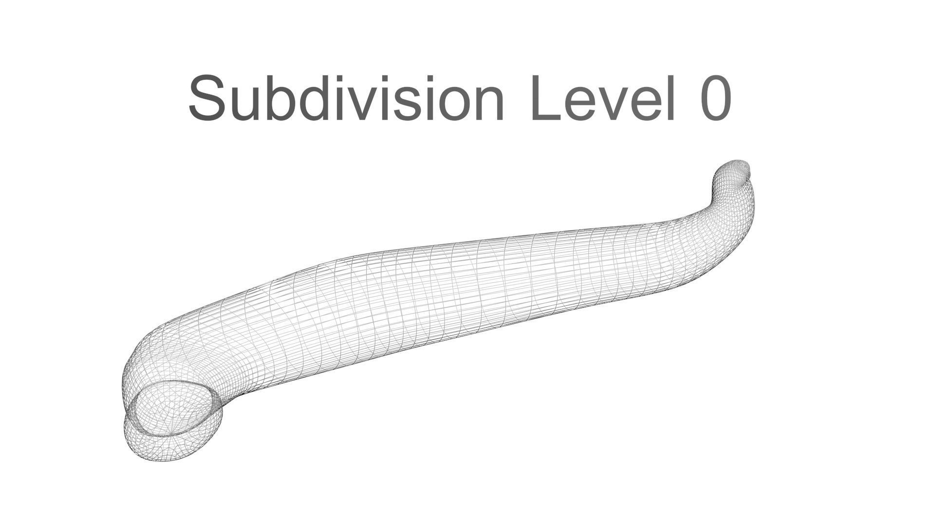 Leech Hirudo Medicinalis 3D model_22