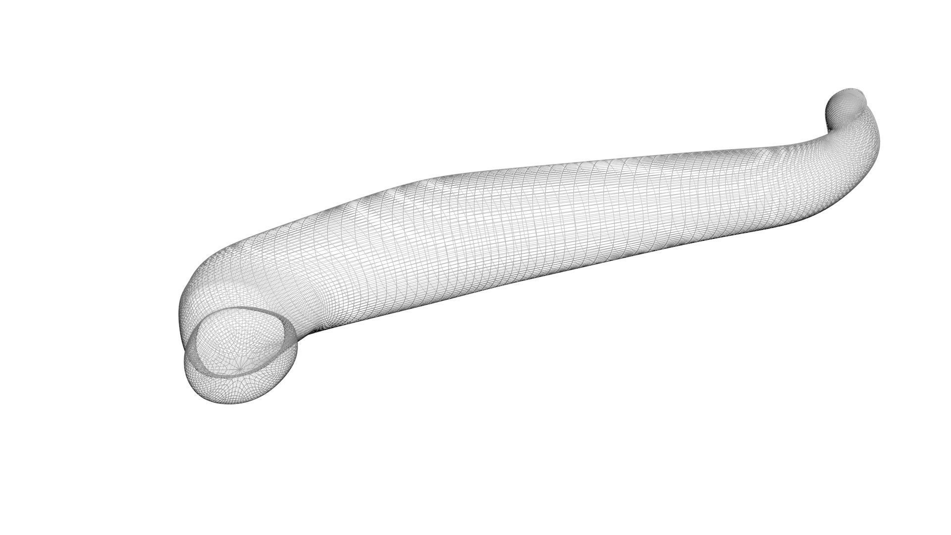 Leech Hirudo Medicinalis 3D model_14