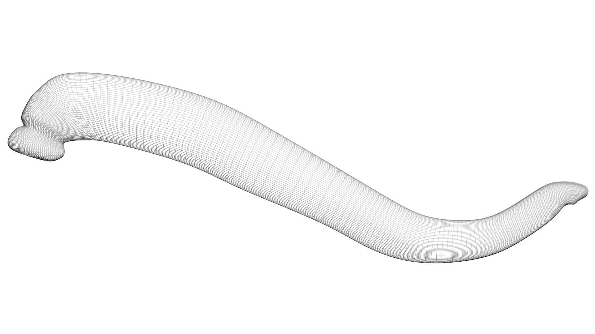 Leech Hirudo Medicinalis 3D model_20
