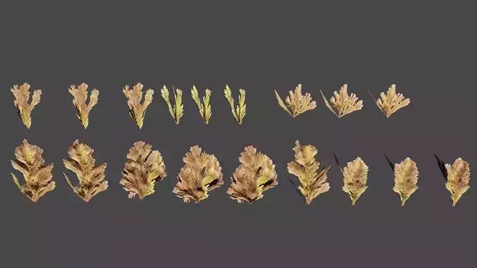Ocean 4K 3d Plant 3D model