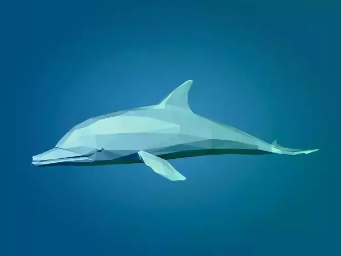 Low Poly Dolphin Low-poly 3D model