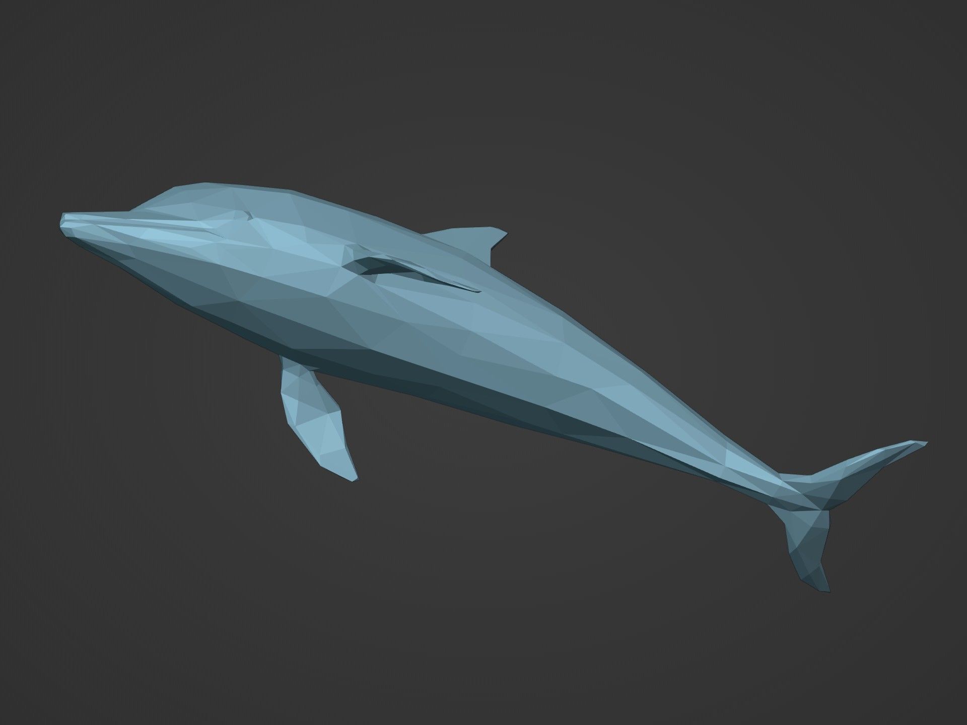 Low Poly Dolphin Low-poly 3D model_13