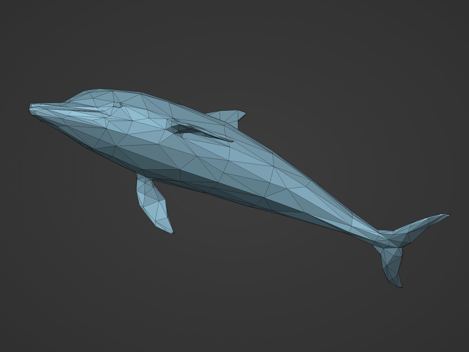Low Poly Dolphin Low-poly 3D model_14