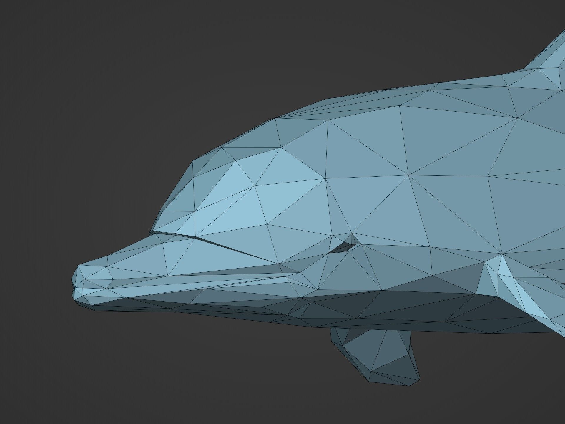 Low Poly Dolphin Low-poly 3D model_16