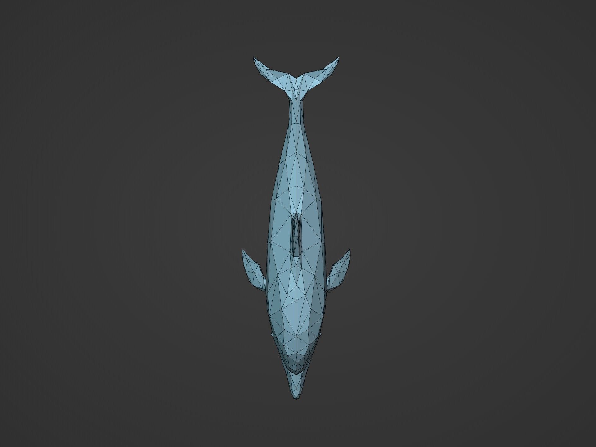 Low Poly Dolphin Low-poly 3D model_12