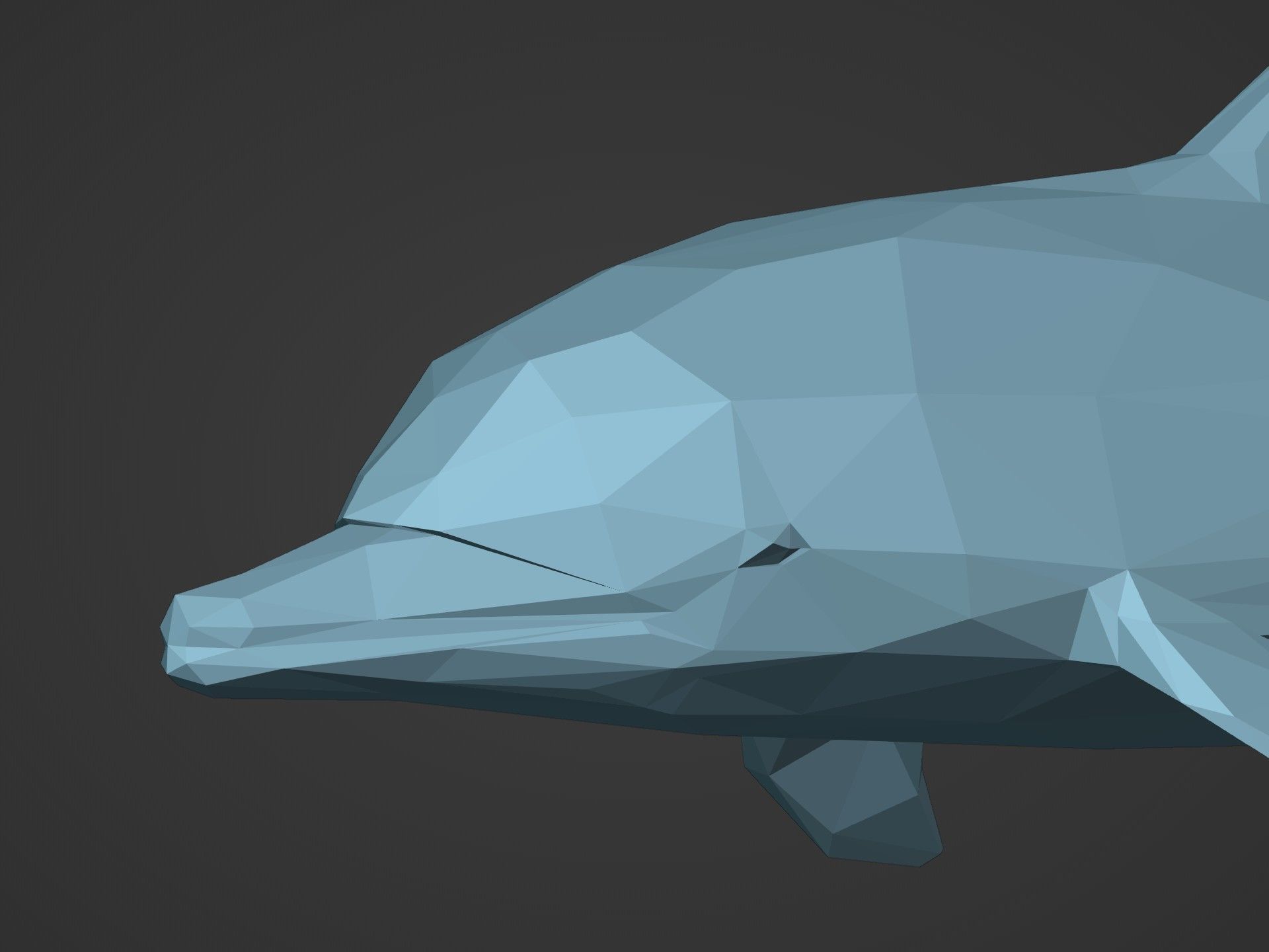Low Poly Dolphin Low-poly 3D model_15