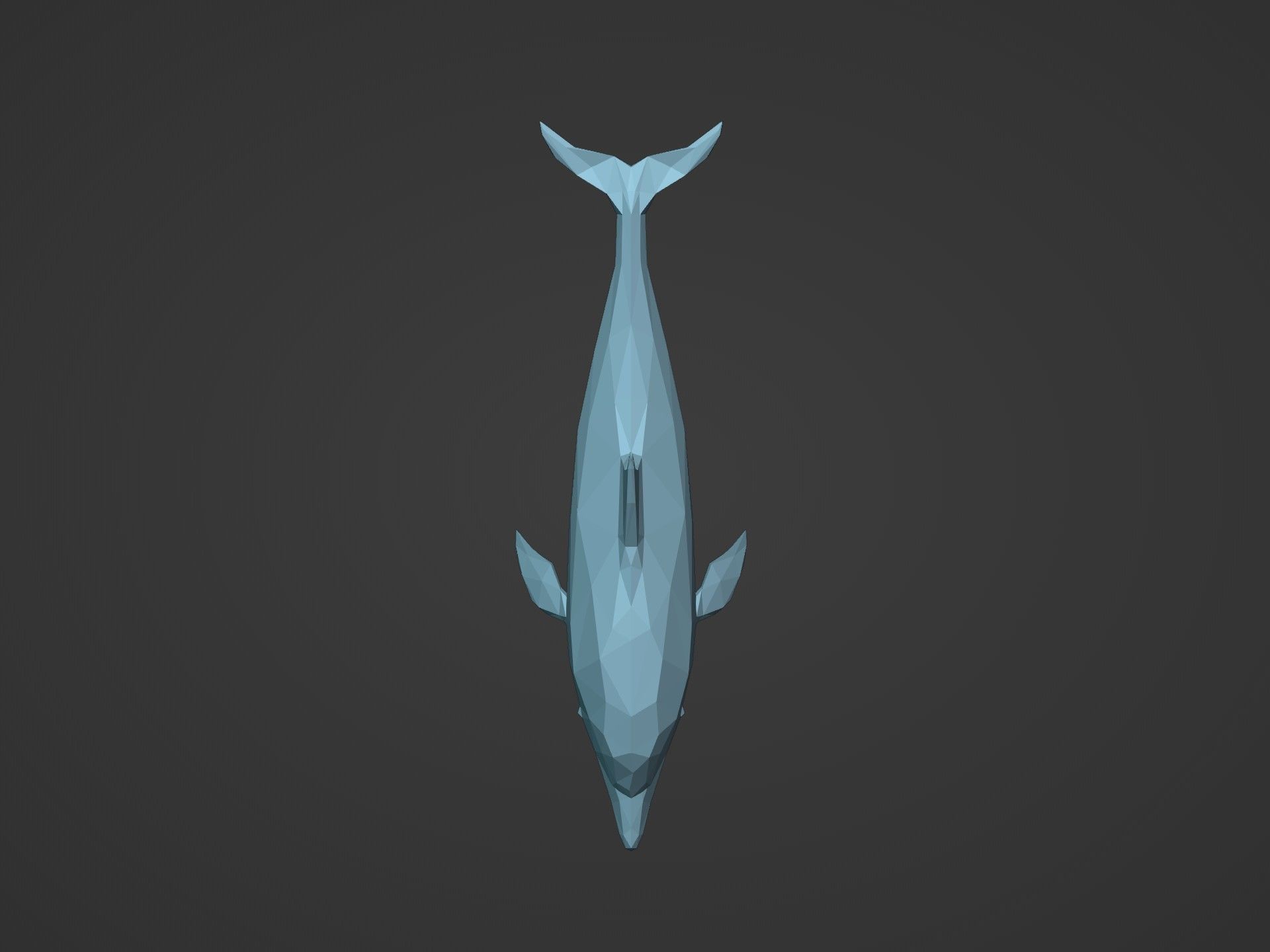 Low Poly Dolphin Low-poly 3D model_11