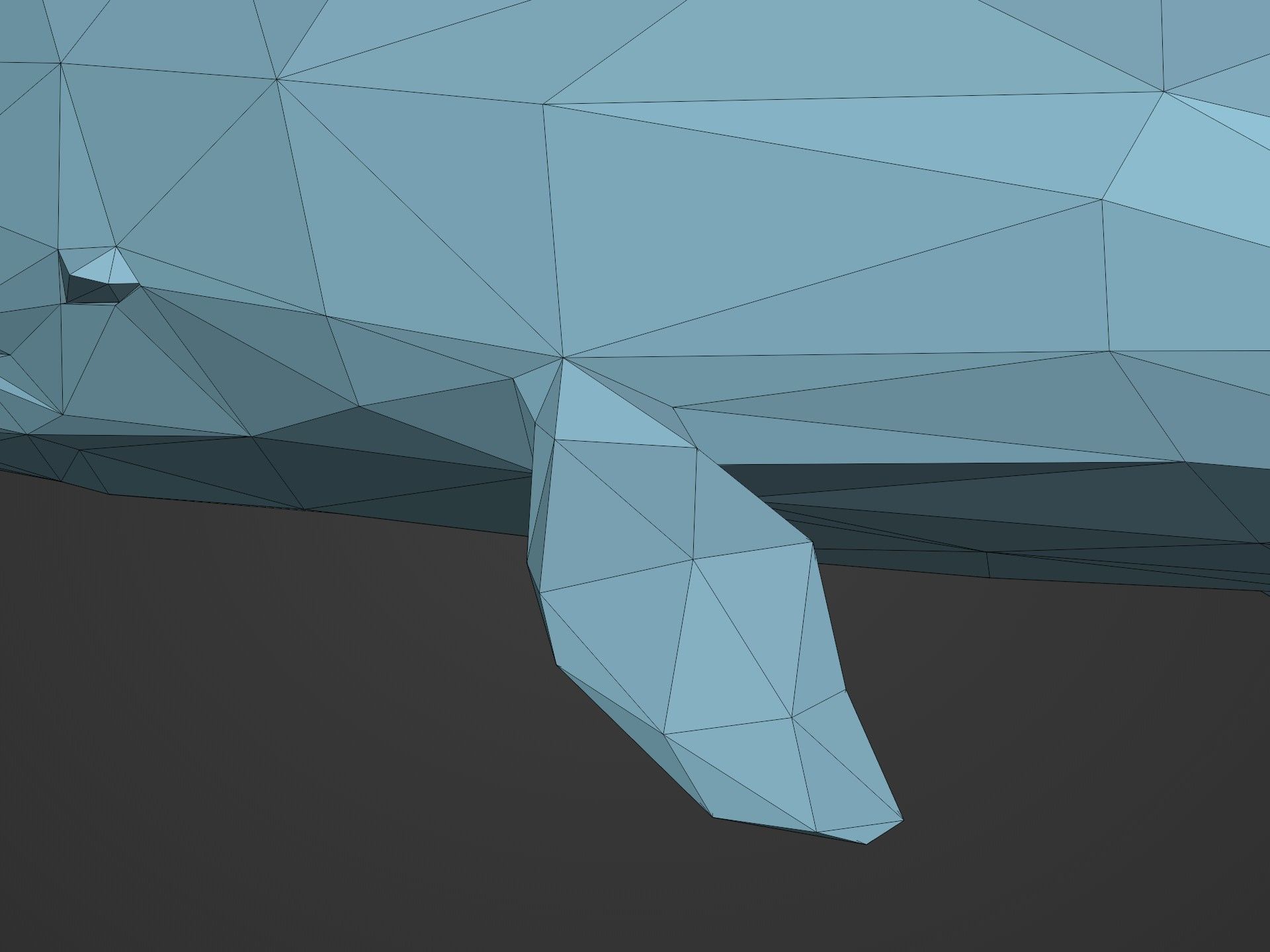 Low Poly Dolphin Low-poly 3D model_18