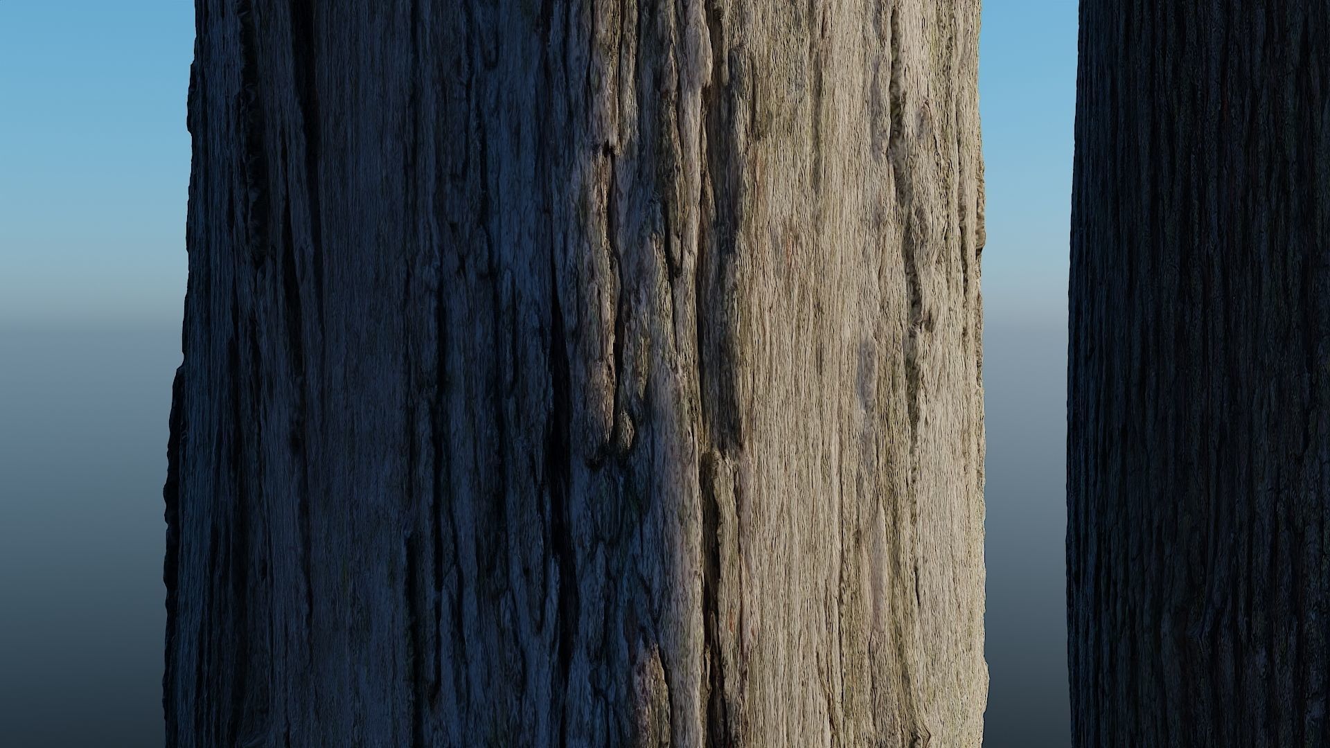 HD Seamless Bark Pack of 5 - with 16 bit height maps Low-poly 3D model_2