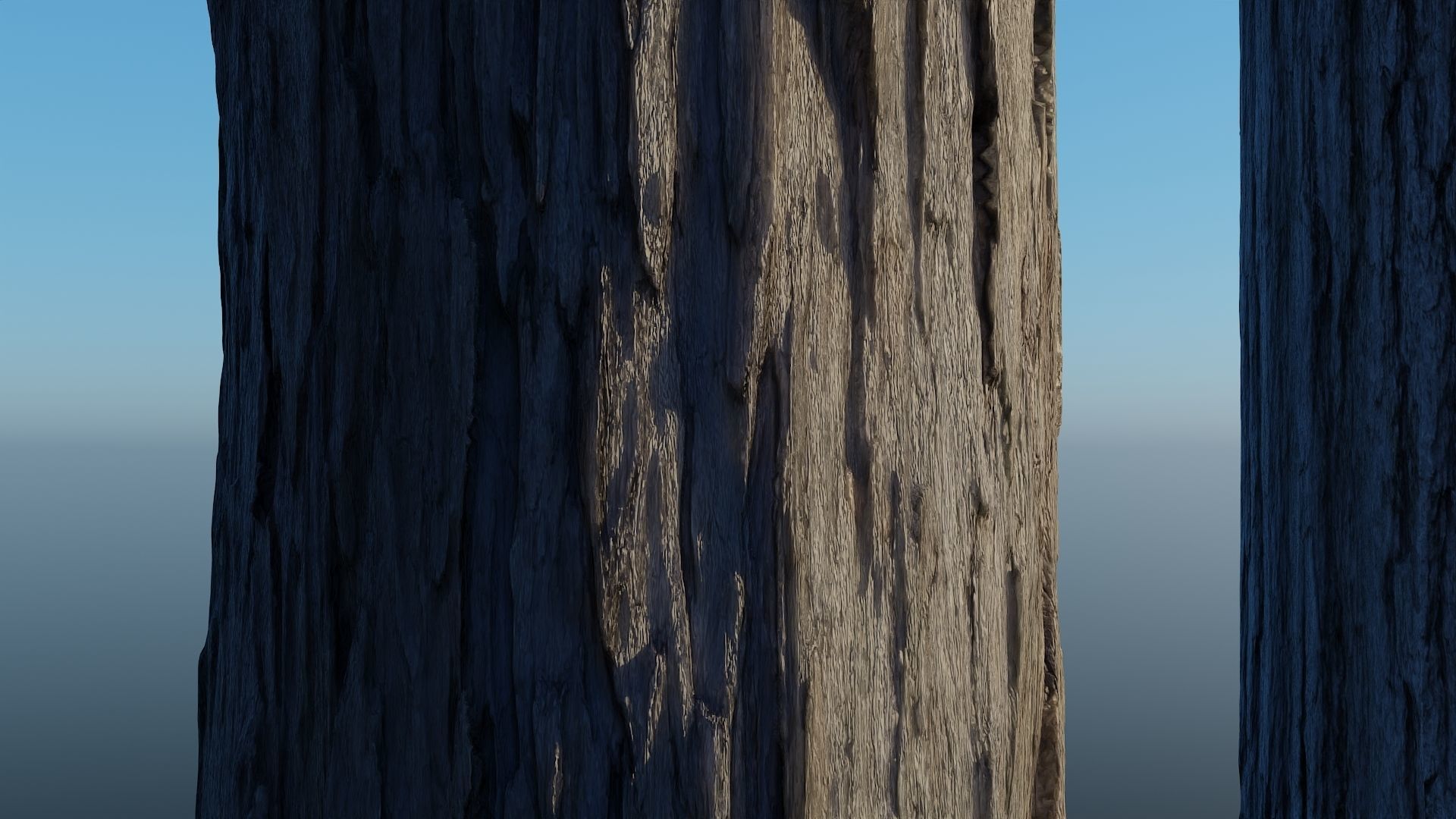 HD Seamless Bark Pack of 5 - with 16 bit height maps Low-poly 3D model_4