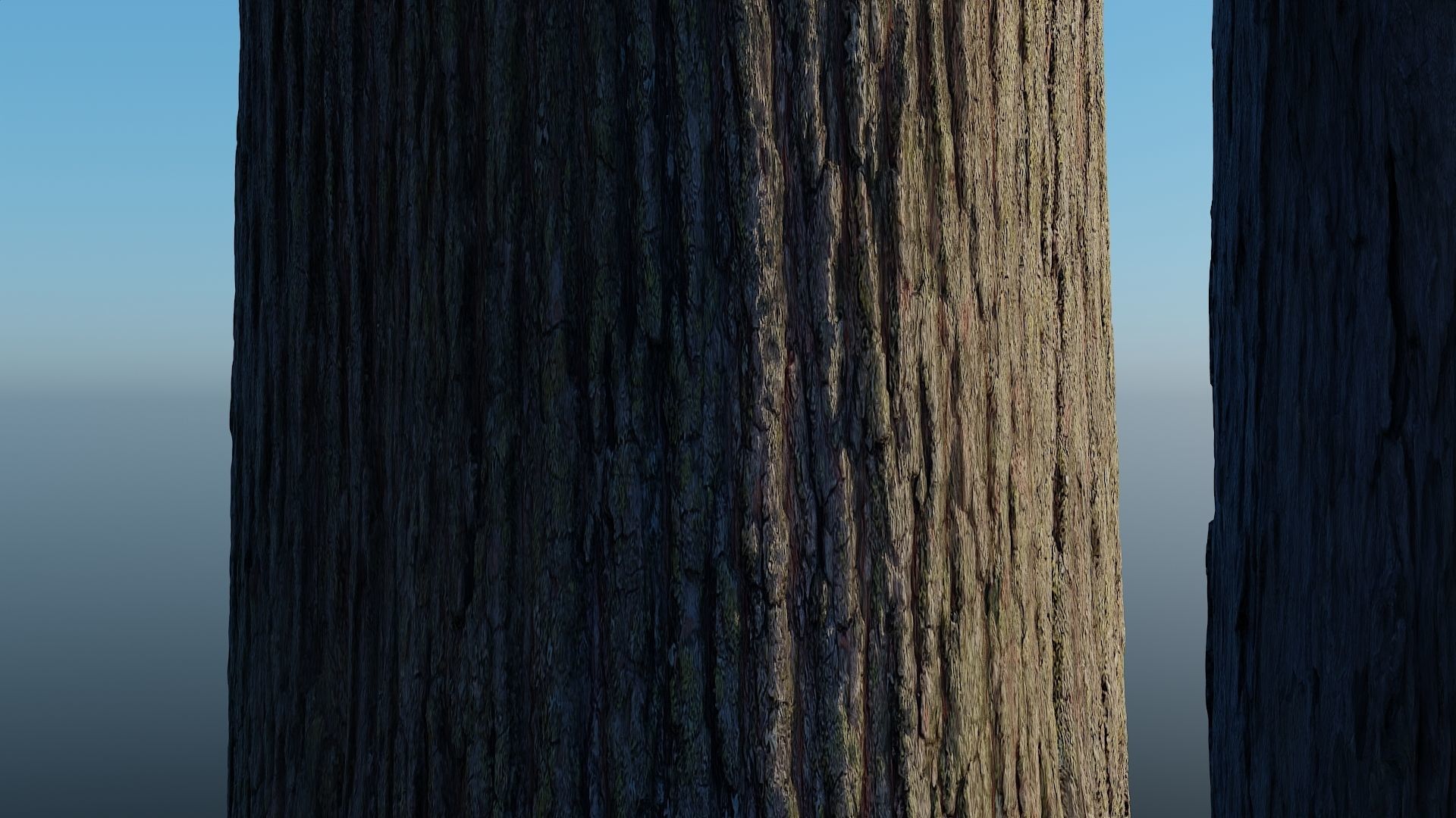HD Seamless Bark Pack of 5 - with 16 bit height maps Low-poly 3D model_3