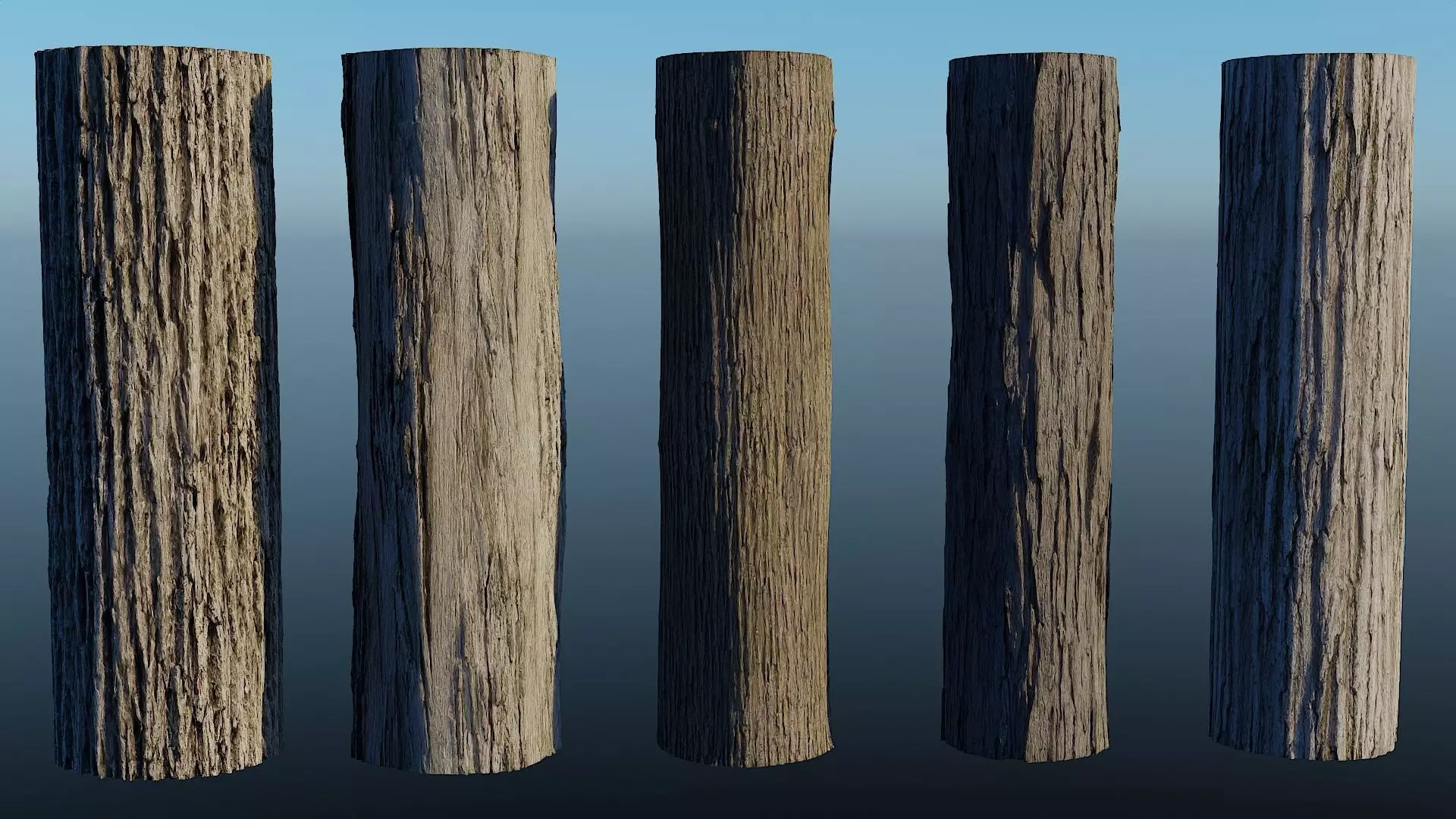 HD Seamless Bark Pack of 5 - with 16 bit height maps Low-poly 3D model_0