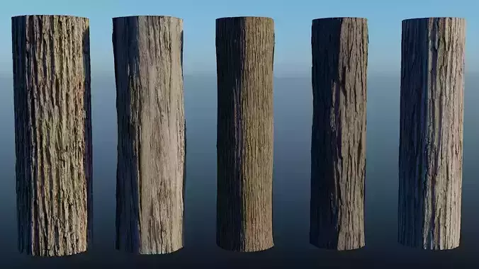 HD Seamless Bark Pack of 5 - with 16 bit height maps Low-poly 3D model
