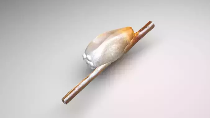 Head Louse Nit 3D model