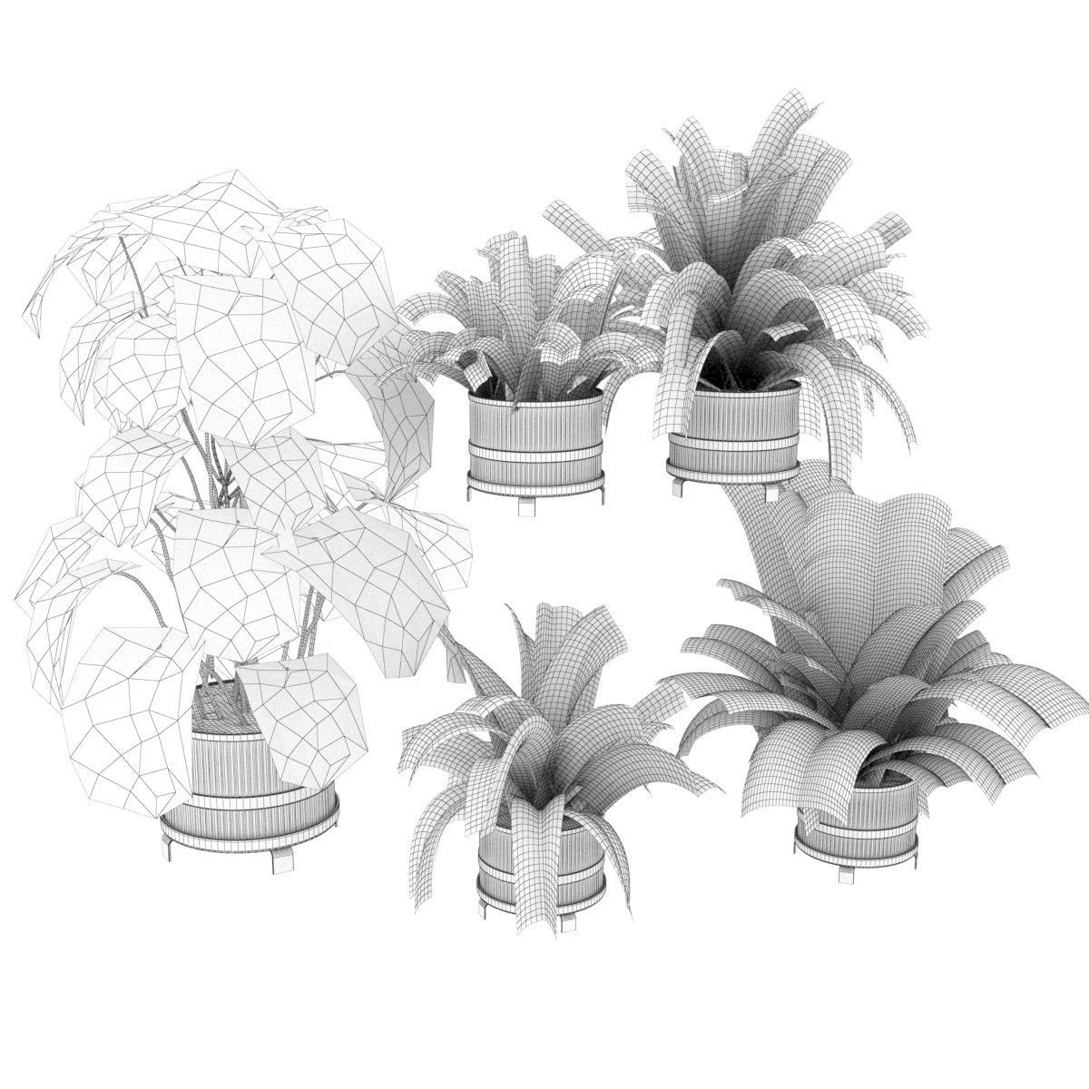 Collection plant vol 384- indoor - palm - aglaonema - fern 3D model_5