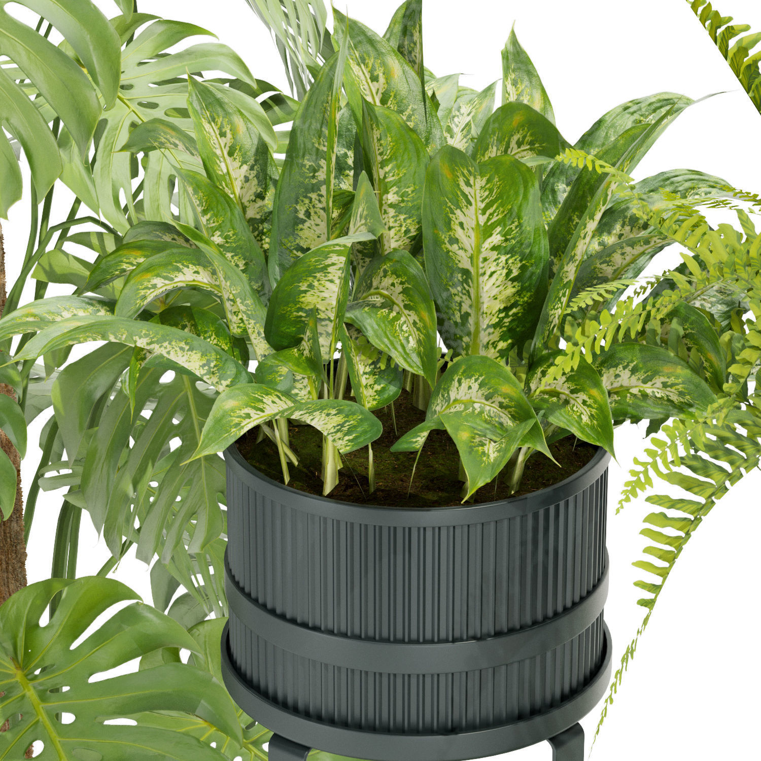 Collection plant vol 384- indoor - palm - aglaonema - fern 3D model_1
