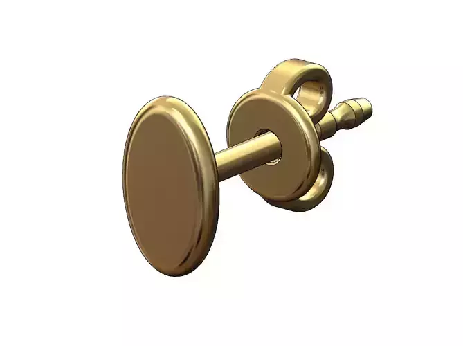 Oval coin stud earring