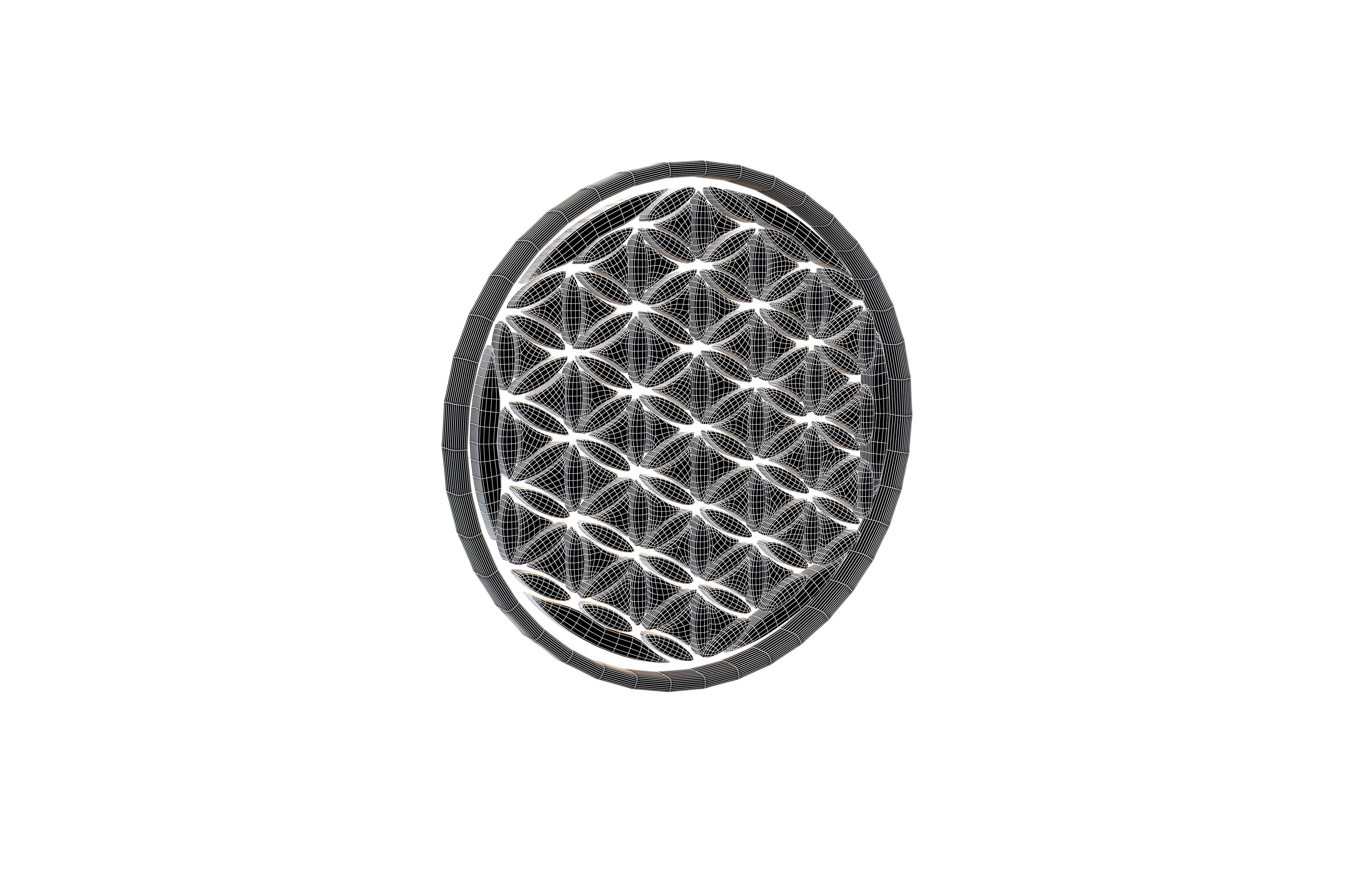 Flower Of Life Symbol v1 003 Low-poly 3D model_4