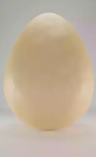 Simple egg Low-poly 3D model