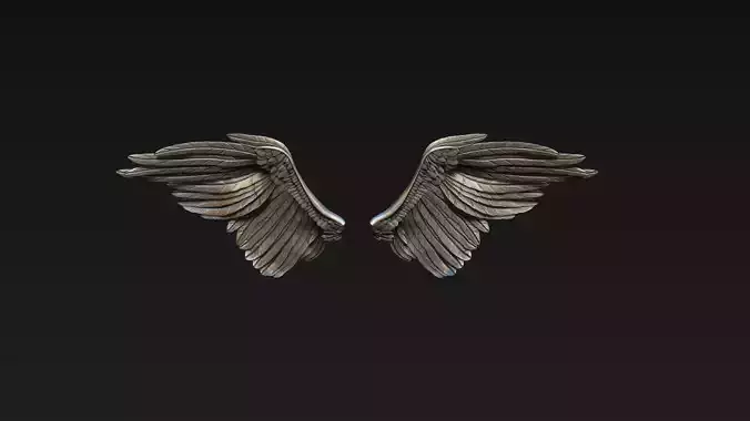 Wings 3d model high poly and low poly 