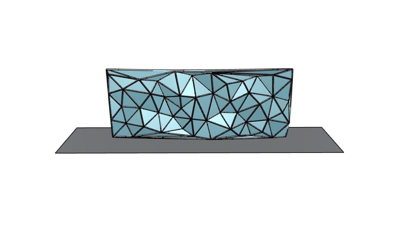 Triangulated Wall random points v3 3D model_33