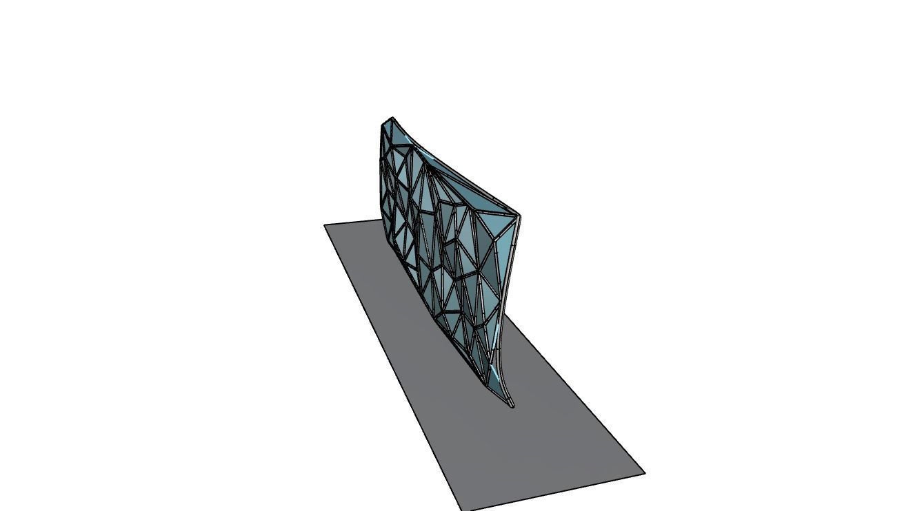 Triangulated Wall random points v3 3D model_38