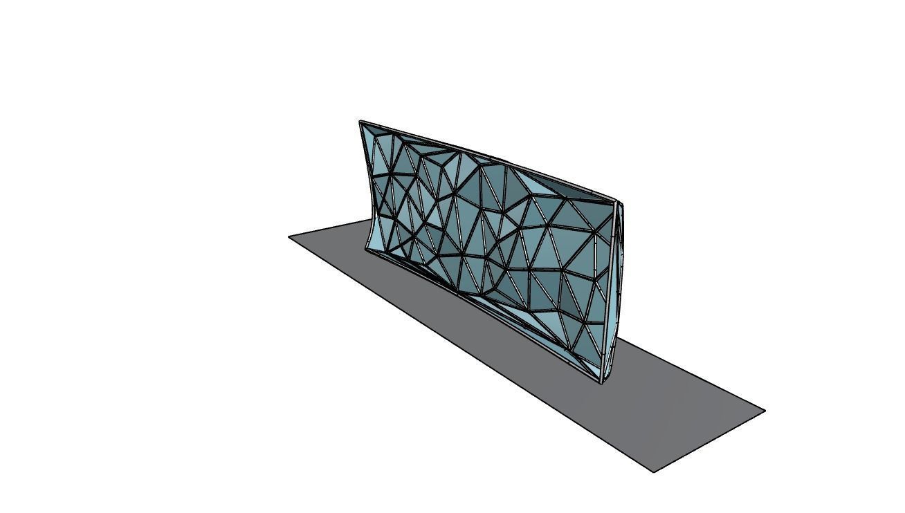 Triangulated Wall random points v3 3D model_28