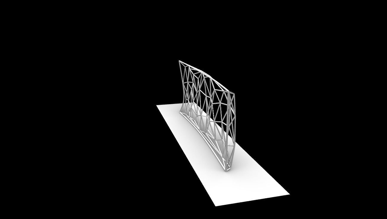 Triangulated Wall random points v3 3D model_8