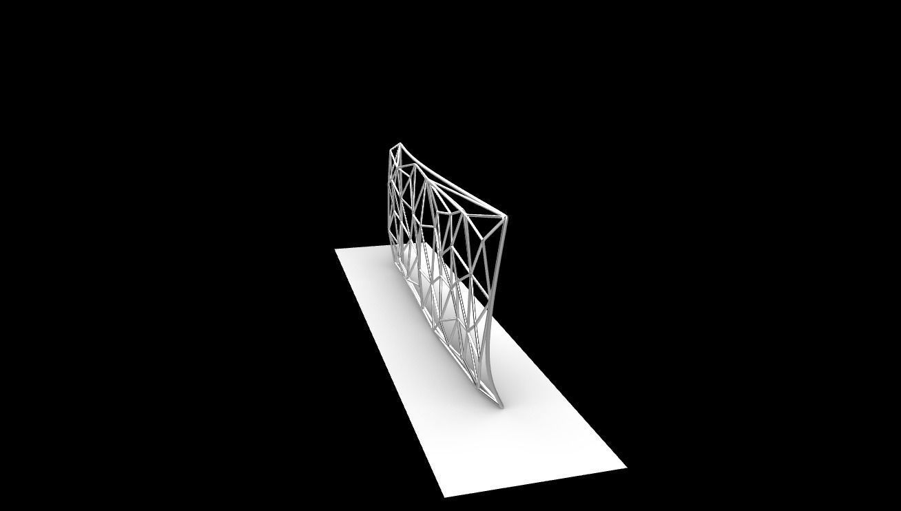 Triangulated Wall random points v3 3D model_17