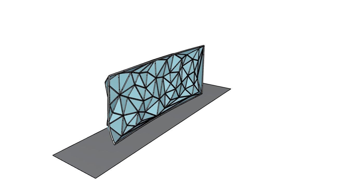 Triangulated Wall random points v3 3D model_41