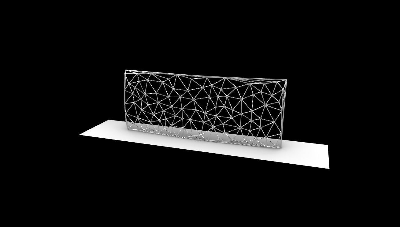 Triangulated Wall random points v5 3D model_1