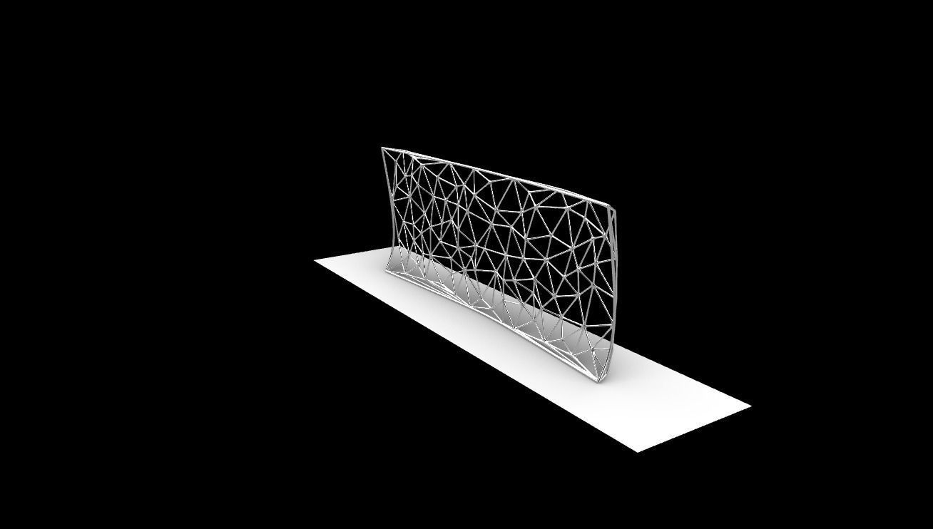 Triangulated Wall random points v5 3D model_5